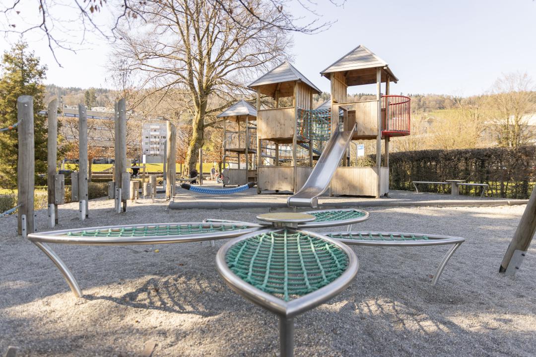 Seerosen am Ufer vom Zürichsee / Des nénuphars au bord du lac de Zurich
